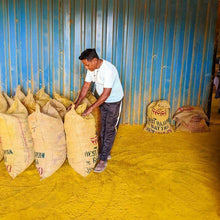 Load image into Gallery viewer, Burlap &amp; Barrel - New Harvest Turmeric - Single Origin Spice &amp; Seasoning
