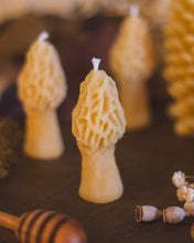 Load image into Gallery viewer, The Ramblin' Bee - Mini Morel

