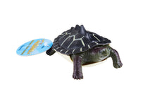 Load image into Gallery viewer, Toysmith - Turtle Squishimals
