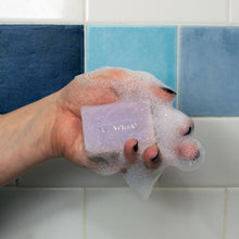 Load image into Gallery viewer, Unemployed Philosophers Guild - Andy's Fifteen Minutes of Foam Soap
