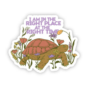 Big Moods - "I am in the right place at the right time" turtle sticker