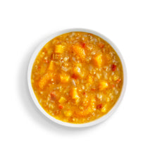 Load image into Gallery viewer, Anderson House | Frontier Soups - Spiced &amp; Sweet Butternut Squash &amp; Lentil
