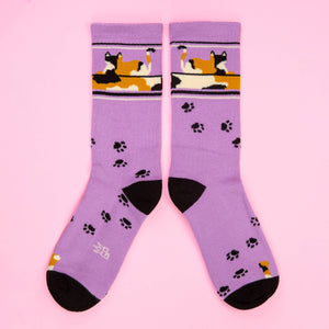 Gumball Poodle - Lounging Calico Cat Gym Crew Socks