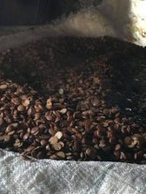 Load image into Gallery viewer, Burlap &amp; Barrel - Iru (Fermented Locust Beans) - Single Origin Spice
