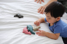 Load image into Gallery viewer, PlanToys - Sea Life Set
