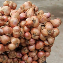 Load image into Gallery viewer, Burlap &amp; Barrel - Purple Shallot Slices - Single Origin Spice &amp; Seasoning
