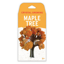 Load image into Gallery viewer, Copernicus Toys - CRYSTAL GROWING MAPLE TREE
