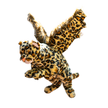 Load image into Gallery viewer, Randimals - Eagard (Plush)
