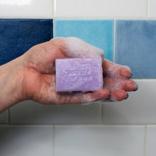 Load image into Gallery viewer, Unemployed Philosophers Guild - Jane Austen Bath Soap
