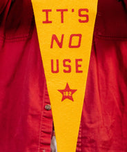 Load image into Gallery viewer, Oxford Pennant - We'll Never Give Up, It's No Use Pennant • blink-182 x Oxford Pennant

