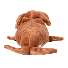 Load image into Gallery viewer, Randimals - Sea Dog (Mini)
