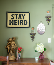 Load image into Gallery viewer, Oxford Pennant - Stay Weird Camp Flag
