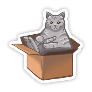 Big Moods - Cat In A Box Sticker