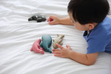 Load image into Gallery viewer, PlanToys - Sea Life Set
