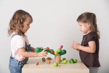 Load image into Gallery viewer, PlanToys - Balancing Cactus - Wood Toy
