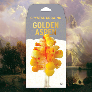 Copernicus Toys - CRYSTAL GROWING ASPEN