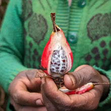 Load image into Gallery viewer, Burlap &amp; Barrel - Berbere - Single Origin Spice &amp; Seasoning Blend
