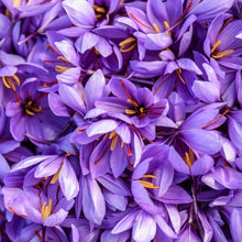 Load image into Gallery viewer, Burlap &amp; Barrel - Herati Saffron - Single Origin Spice &amp; Seasoning
