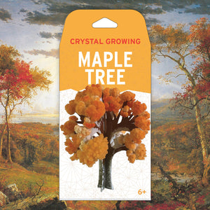 Copernicus Toys - CRYSTAL GROWING MAPLE TREE