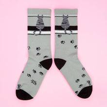 Load image into Gallery viewer, Gumball Poodle - Sitting Gray Tabby Cat Gym Crew Socks
