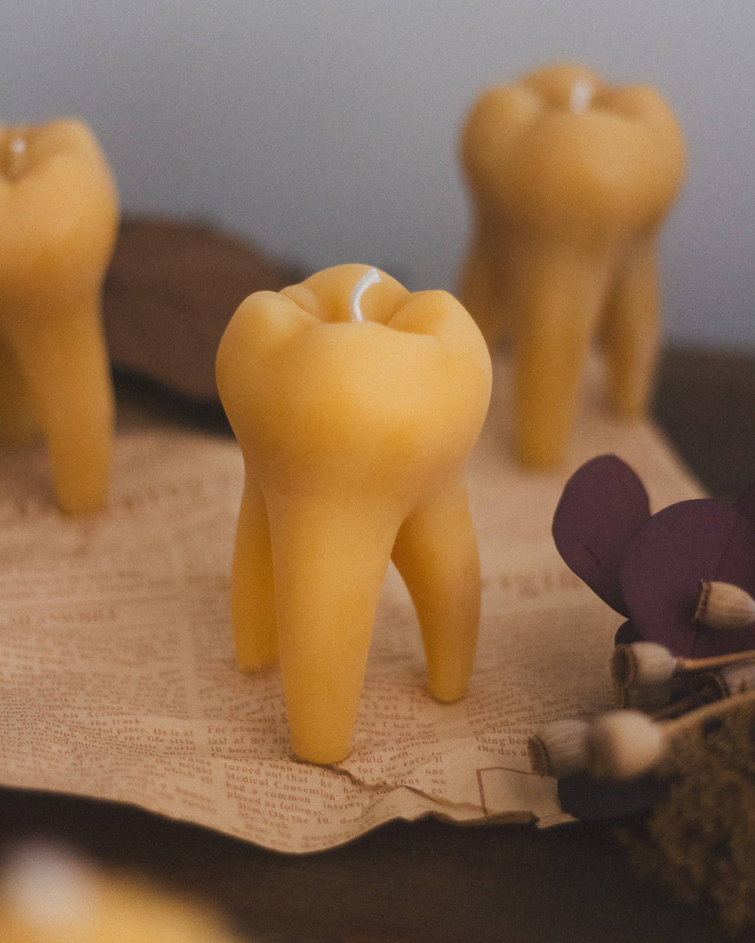 The Ramblin' Bee - The Tooth Beeswax Candle