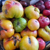 Heirloom tomatoes