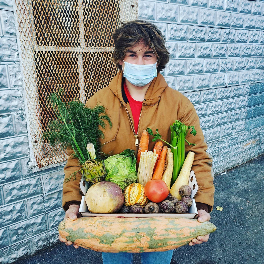 a boy holding a tray of local produce and a large pumpkin