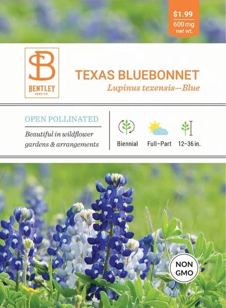 Bentley Seed Co. - Texas Bluebonnet-Lupinus Texensis