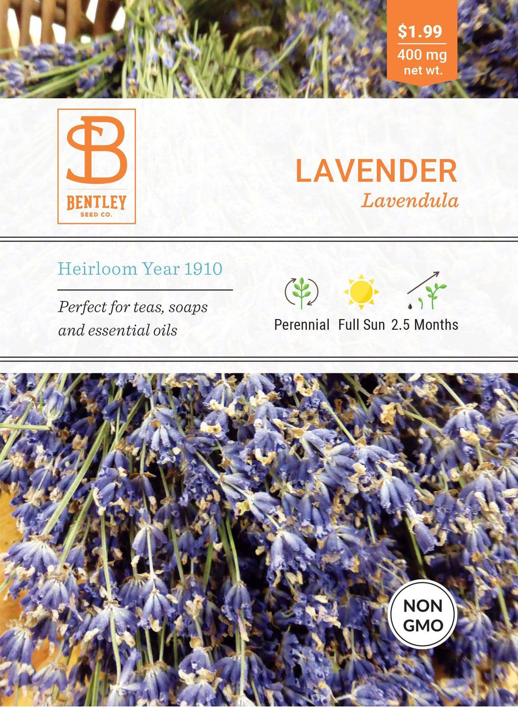 Bentley Seed Co. - Lavender