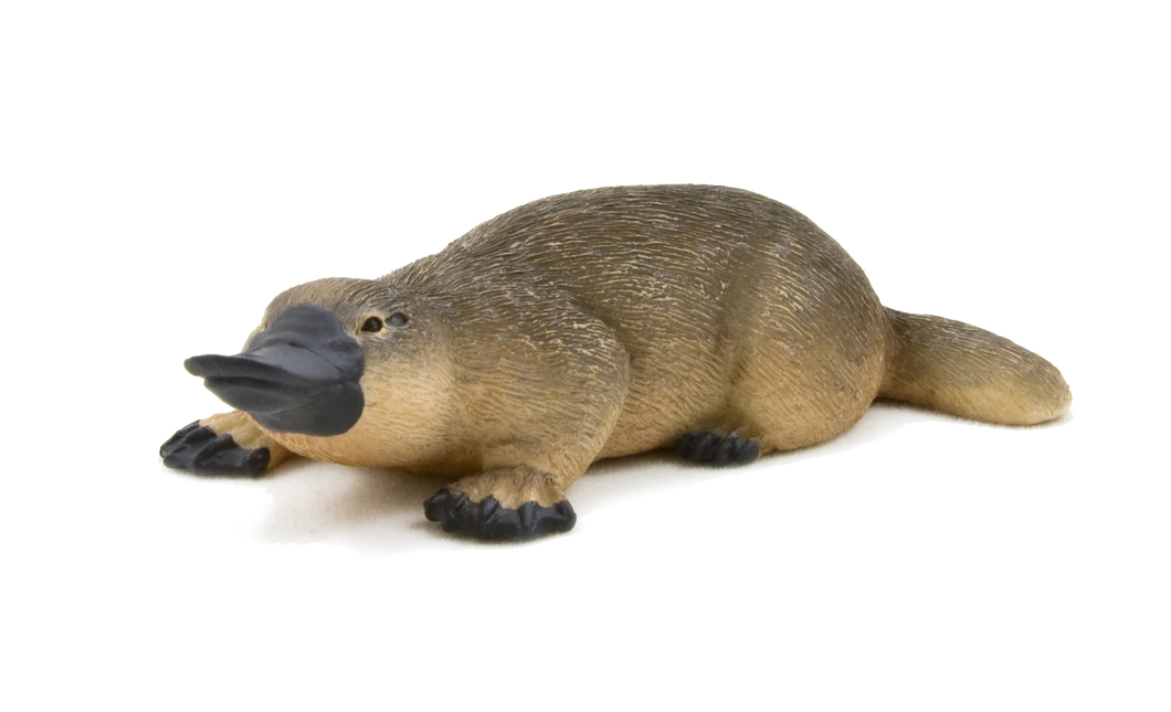 Hauck Toys - MOJO Duck Billed Platypus