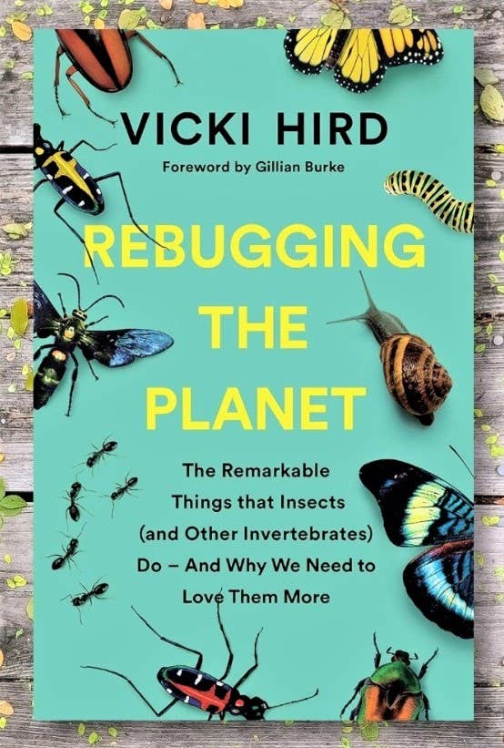 Microcosm Publishing & Distribution - Rebugging the Planet: Why We Need to Love Insects More