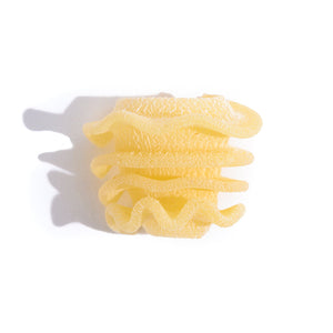 an individual piece of round pasta