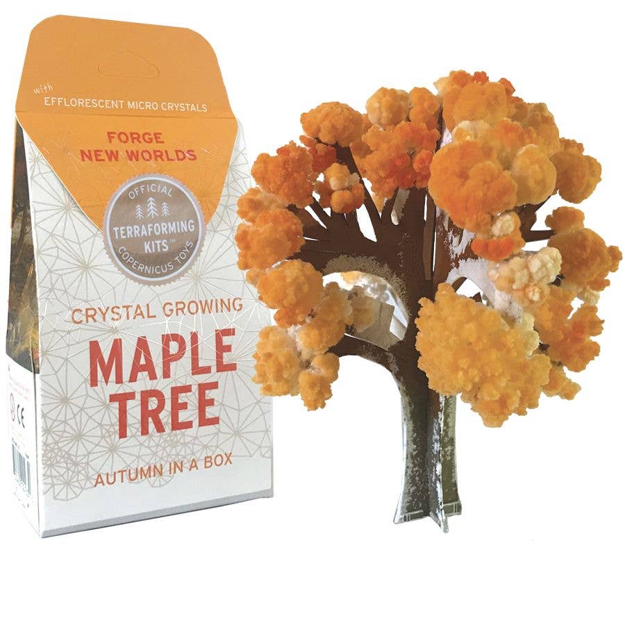 Copernicus Toys - CRYSTAL GROWING MAPLE TREE