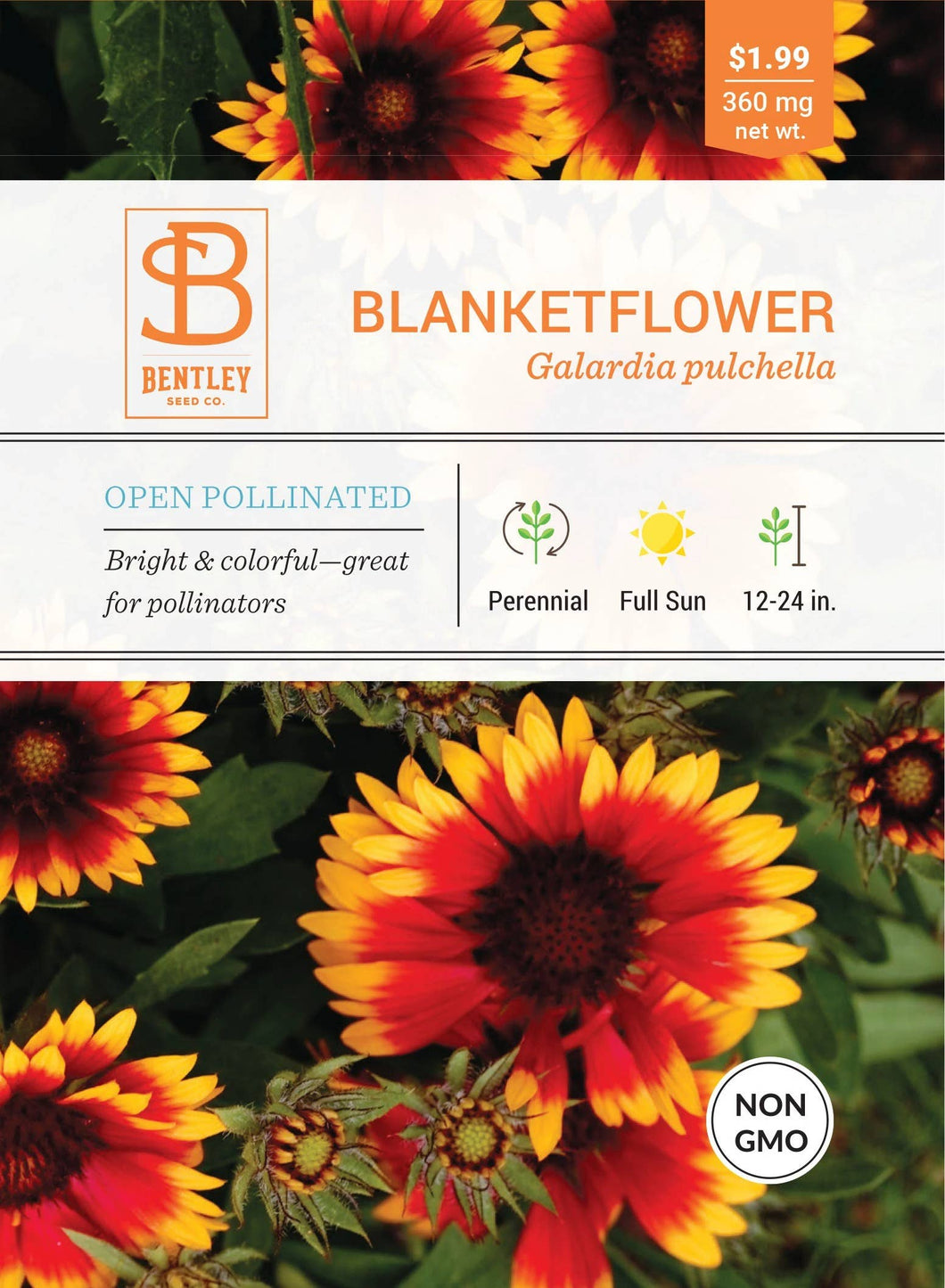 Bentley Seed Co. - Blanketflower-Galardia Pulchella