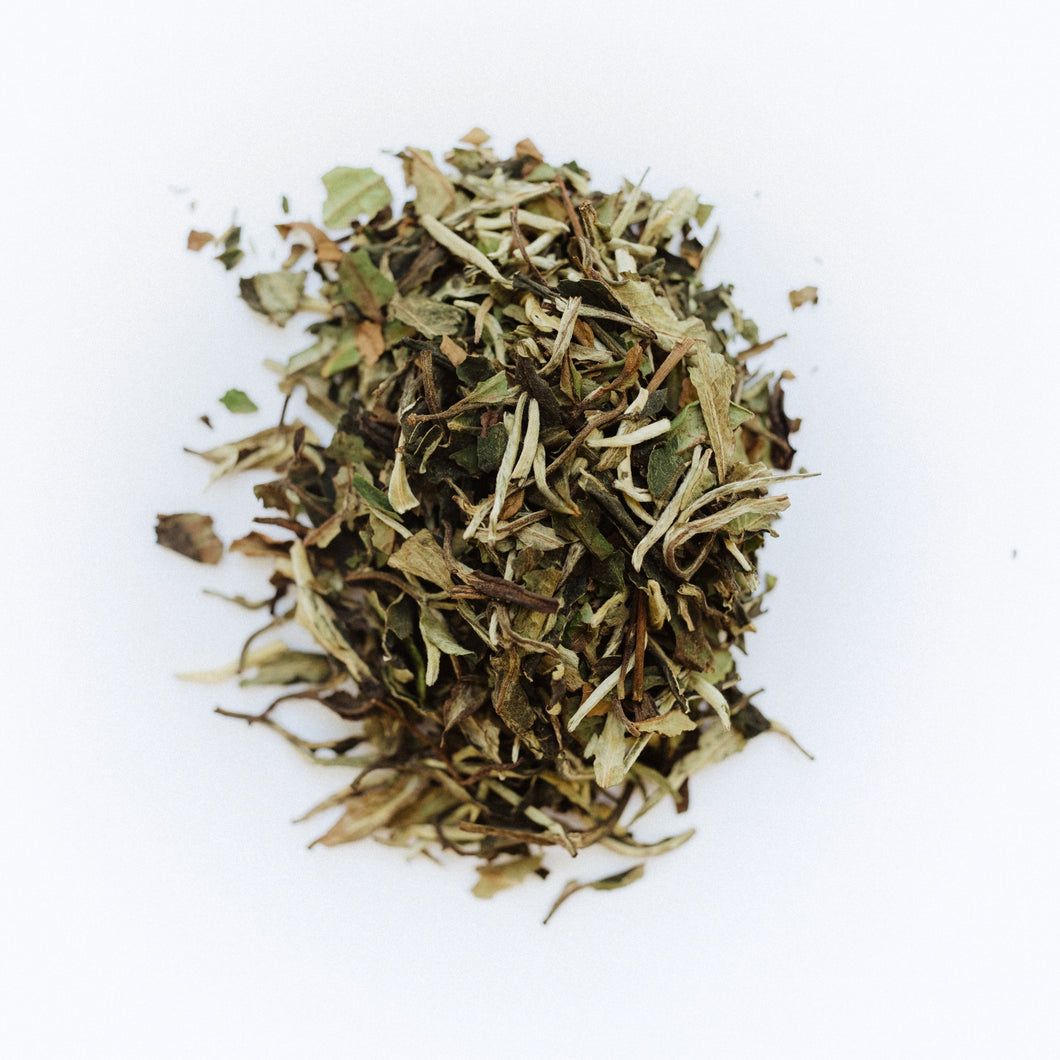 loose leaf tea 