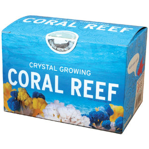 Copernicus Toys - CRYSTAL GROWING CORAL REEF