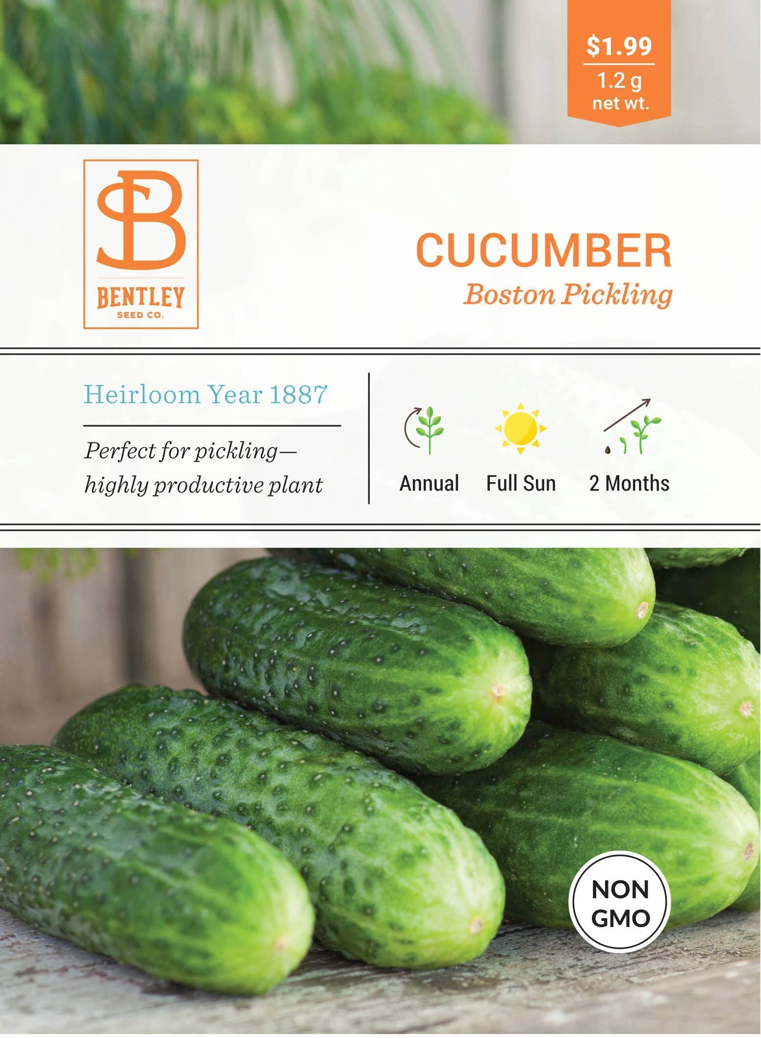 boston cucumber plant Bentley Seed Co