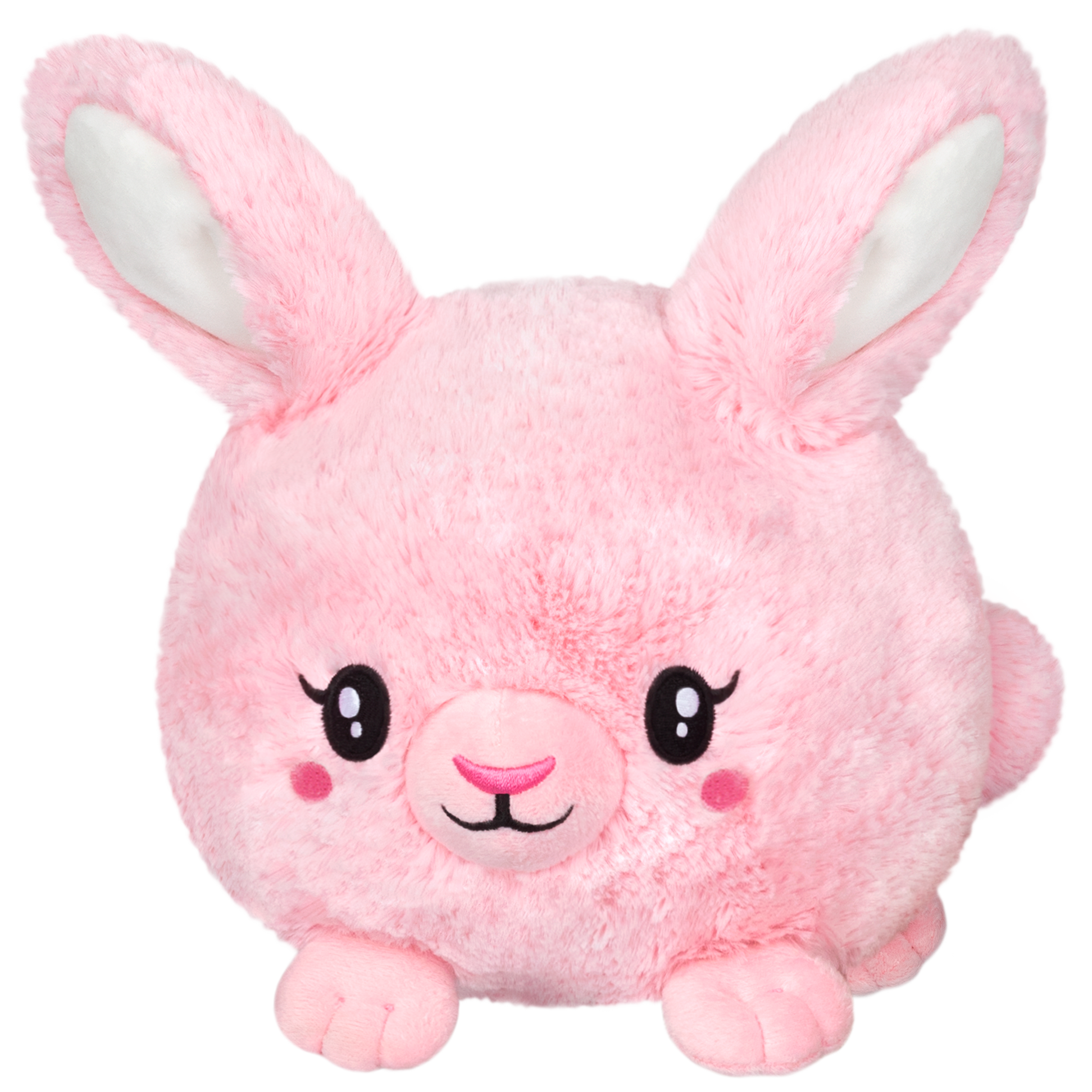 Squishables bunny discount
