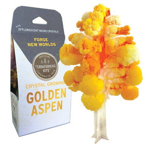 Copernicus Toys - CRYSTAL GROWING ASPEN