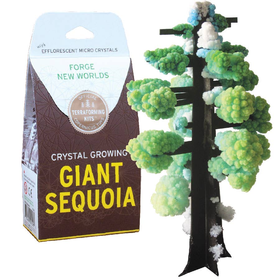 Copernicus Toys - CRYSTAL GROWING GIANT SEQUOIA