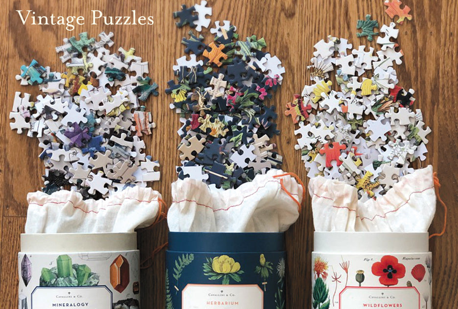 cavallini succulents Cavallini Wildflowers Puzzle